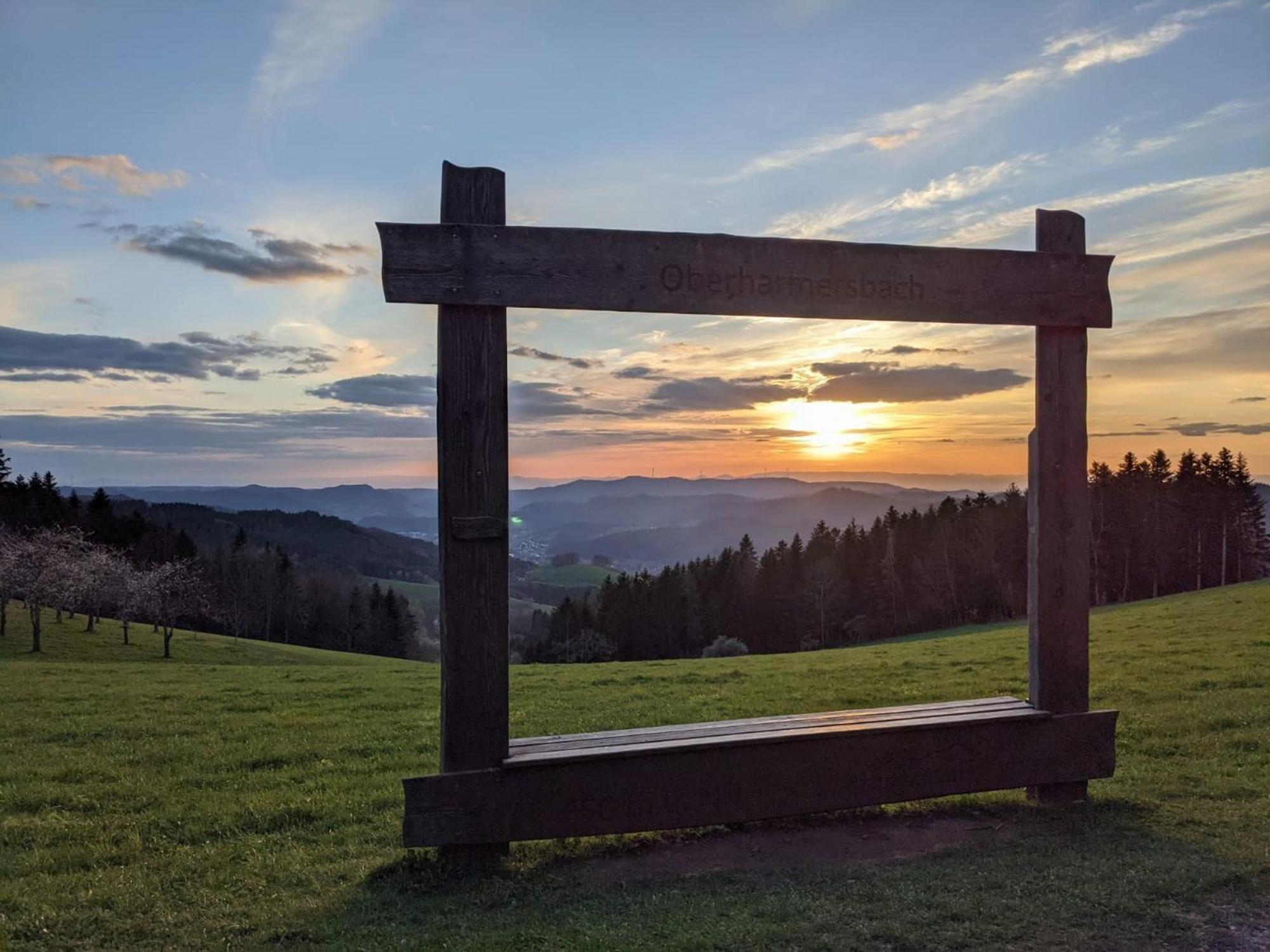 Ferienwohnungen Golla-Lang Oberharmersbach Extérieur photo