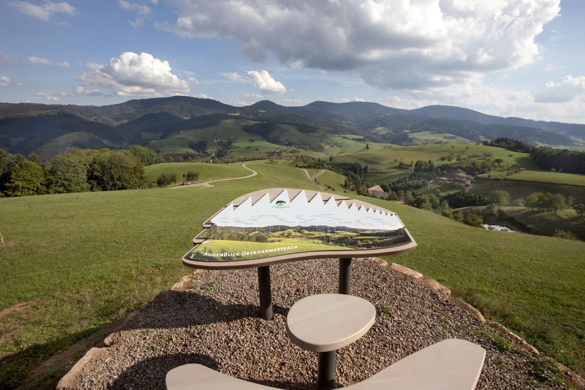 Ferienwohnungen Golla-Lang Oberharmersbach Extérieur photo