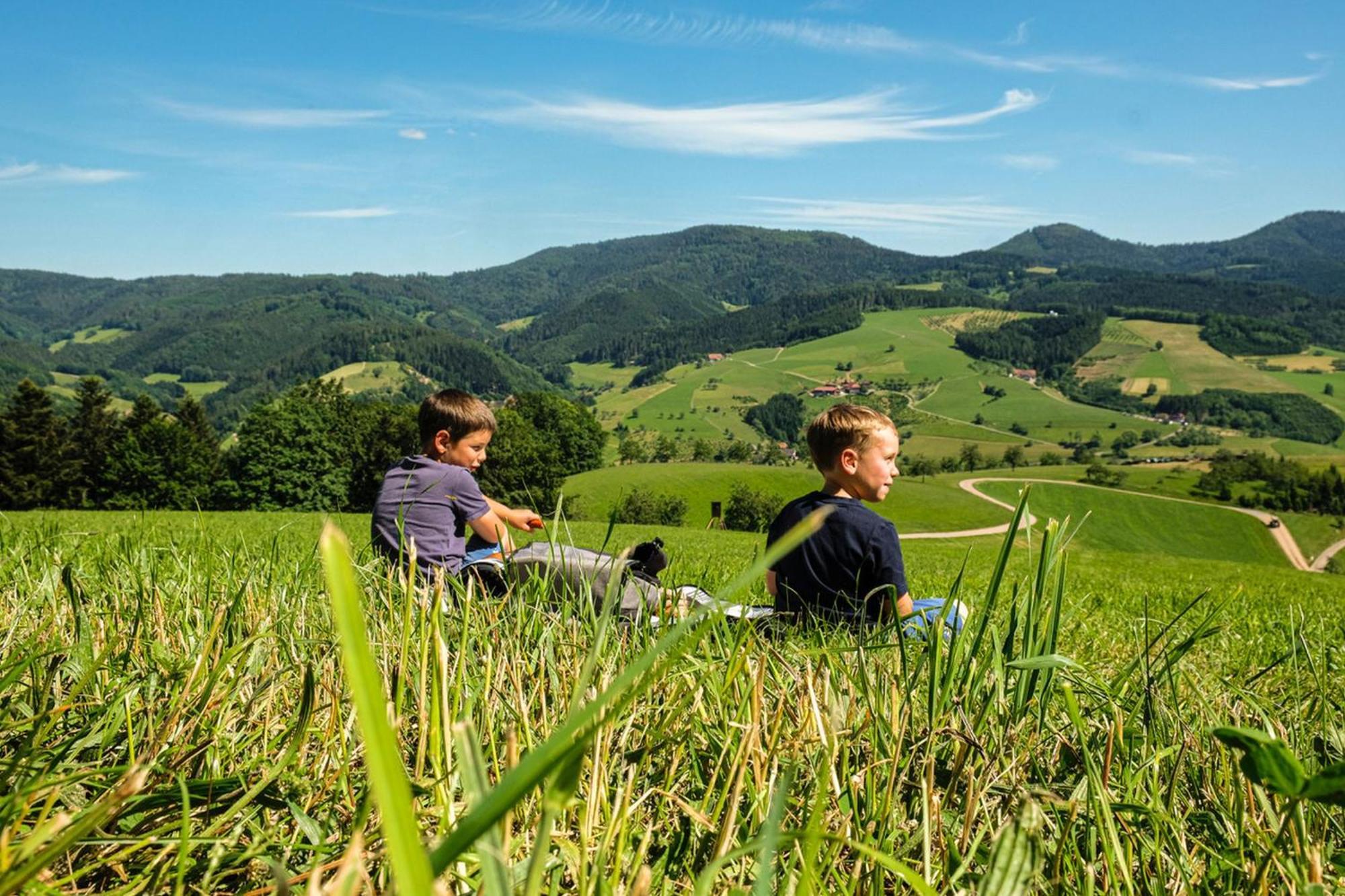 Ferienwohnungen Golla-Lang Oberharmersbach Extérieur photo
