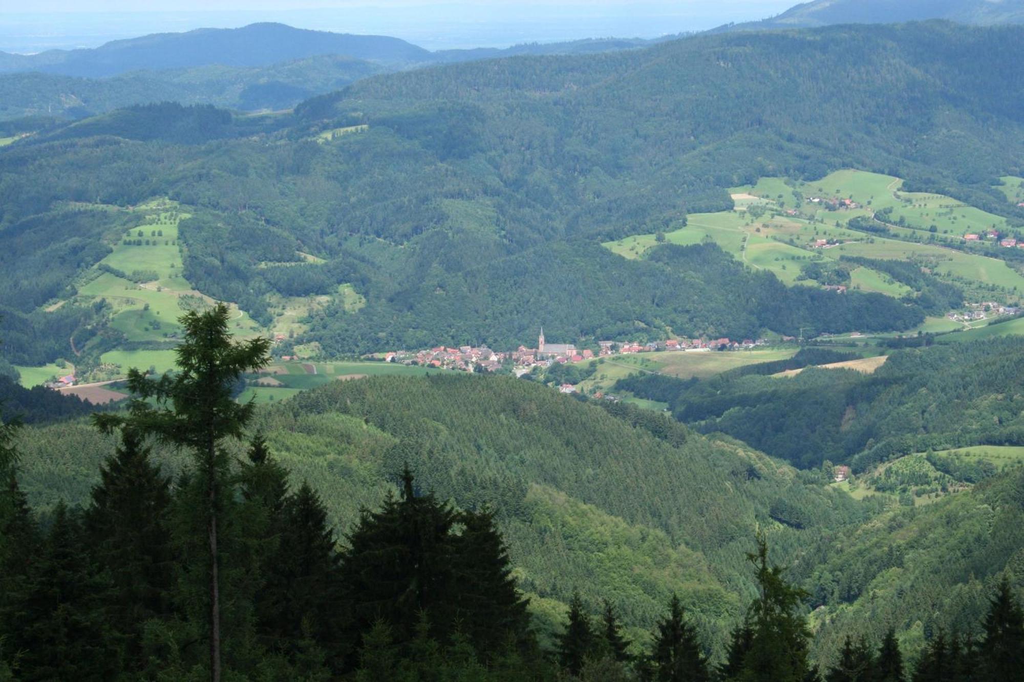 Ferienwohnungen Golla-Lang Oberharmersbach Extérieur photo