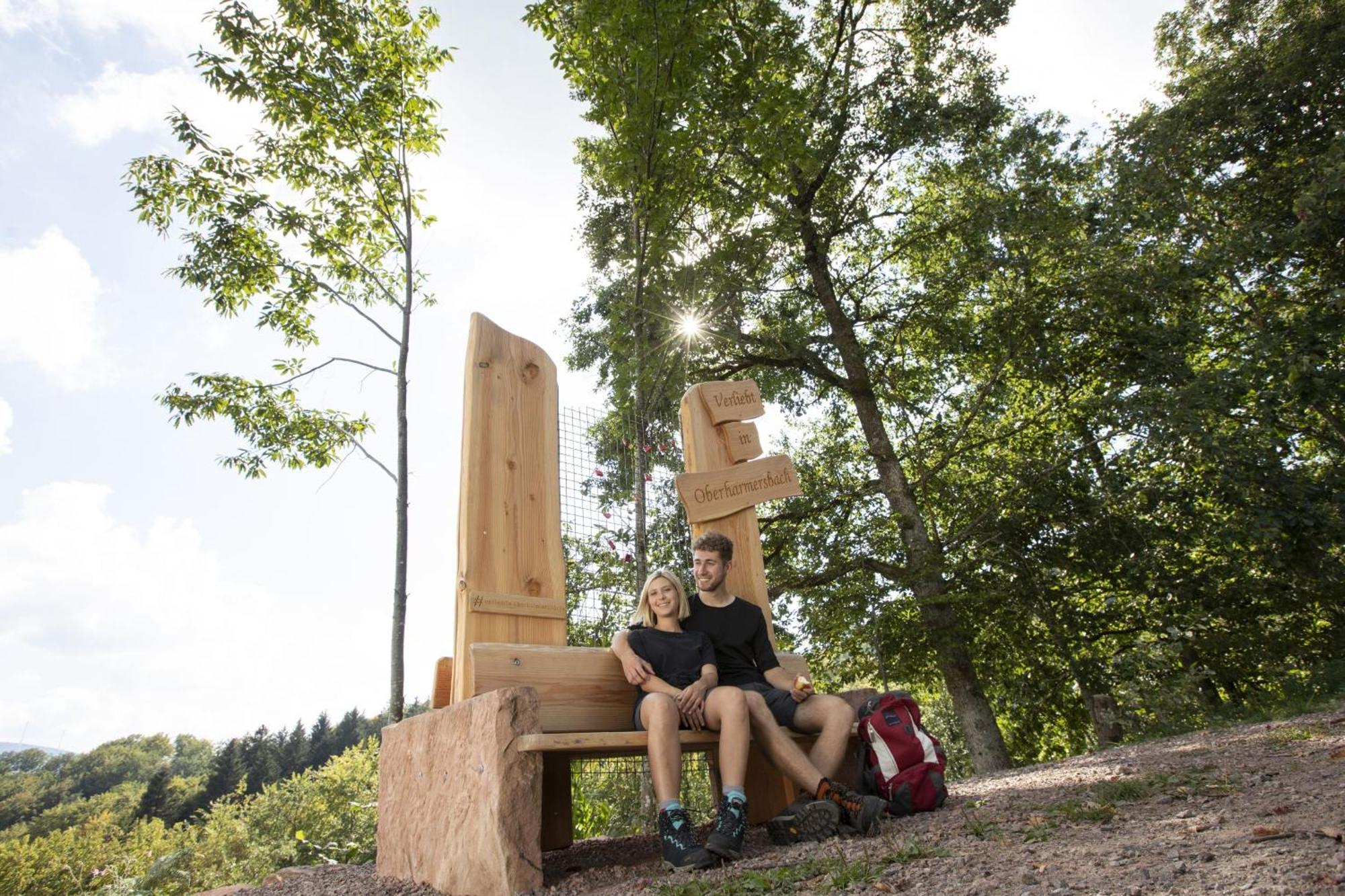 Ferienwohnungen Golla-Lang Oberharmersbach Extérieur photo