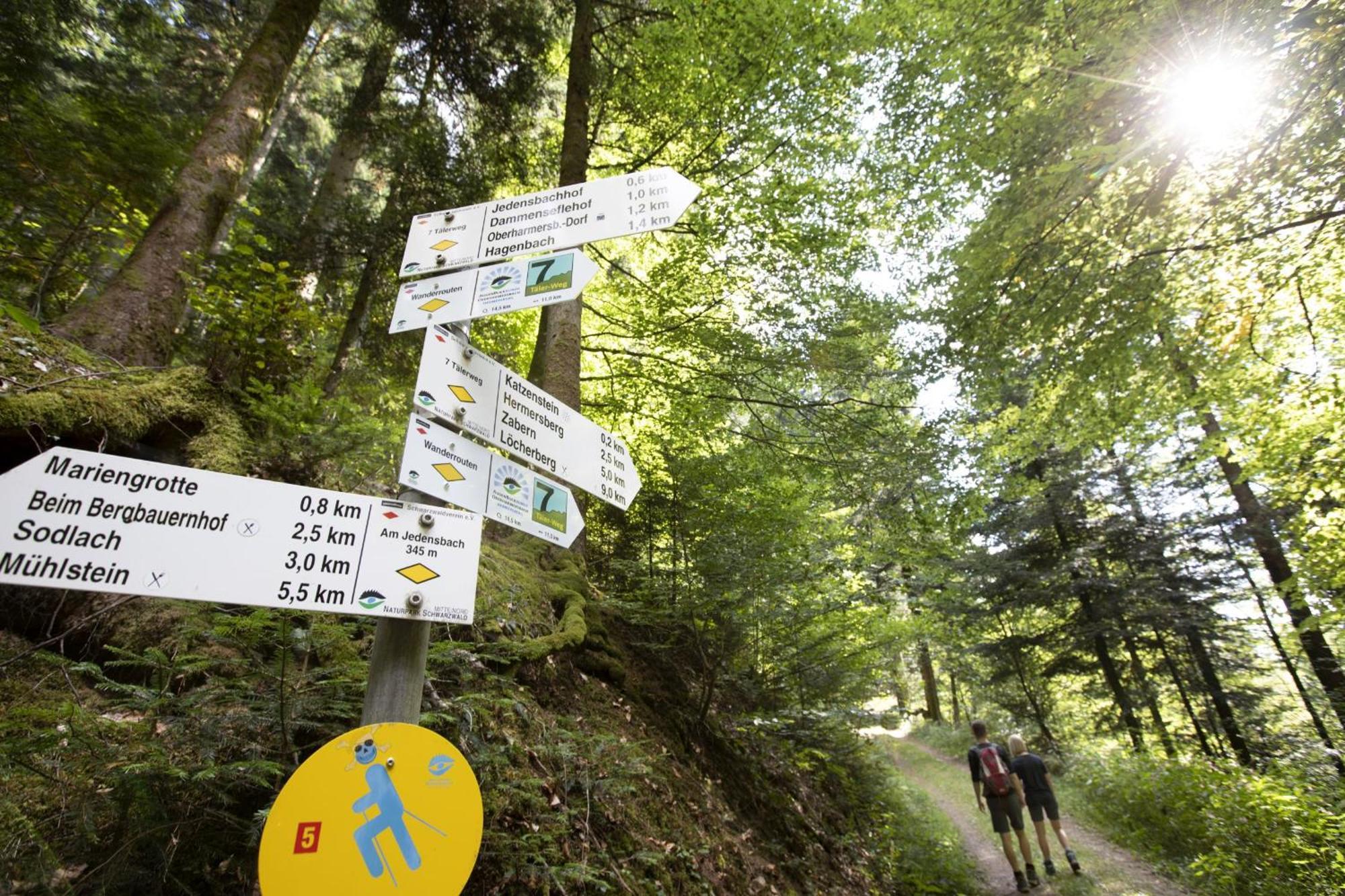 Ferienwohnungen Golla-Lang Oberharmersbach Extérieur photo
