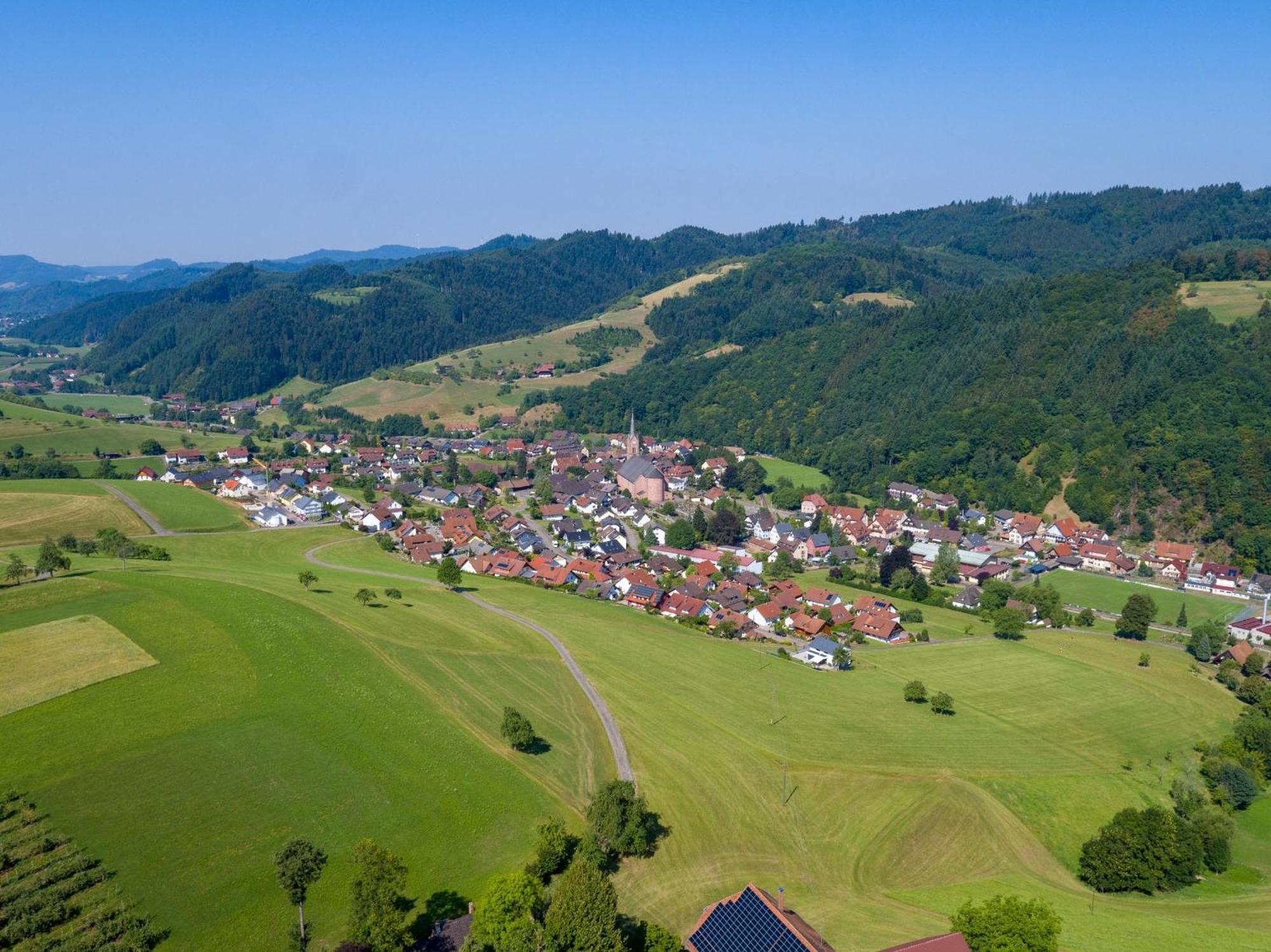 Ferienwohnungen Golla-Lang Oberharmersbach Extérieur photo